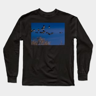 Geese in flight Long Sleeve T-Shirt